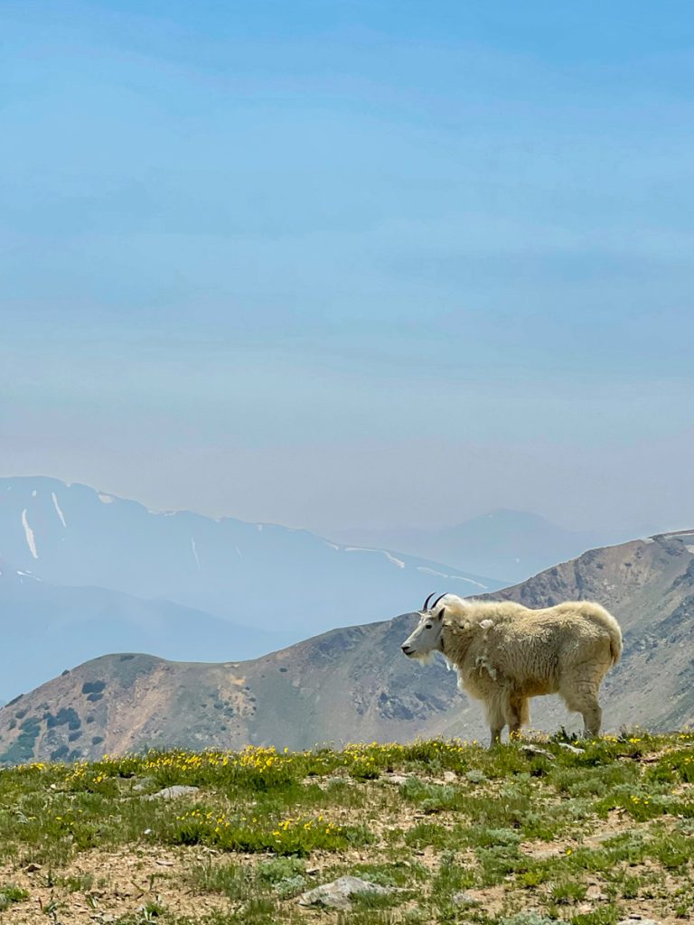 Ridgeline Tours July 2024-10