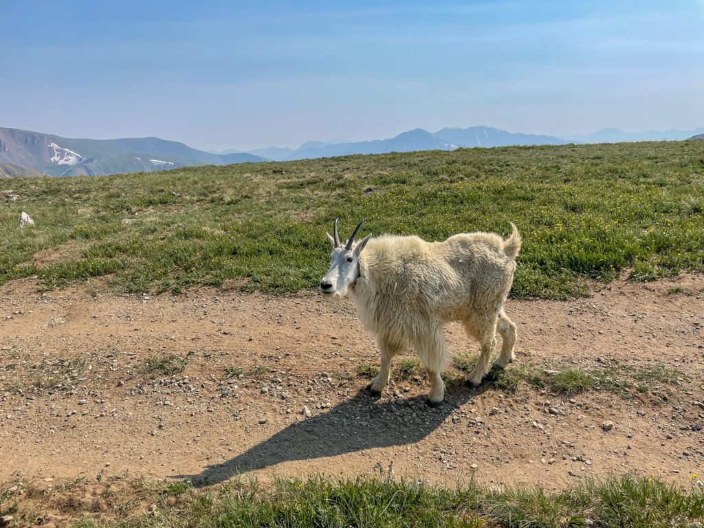 Ridgeline Tours July 2024-11