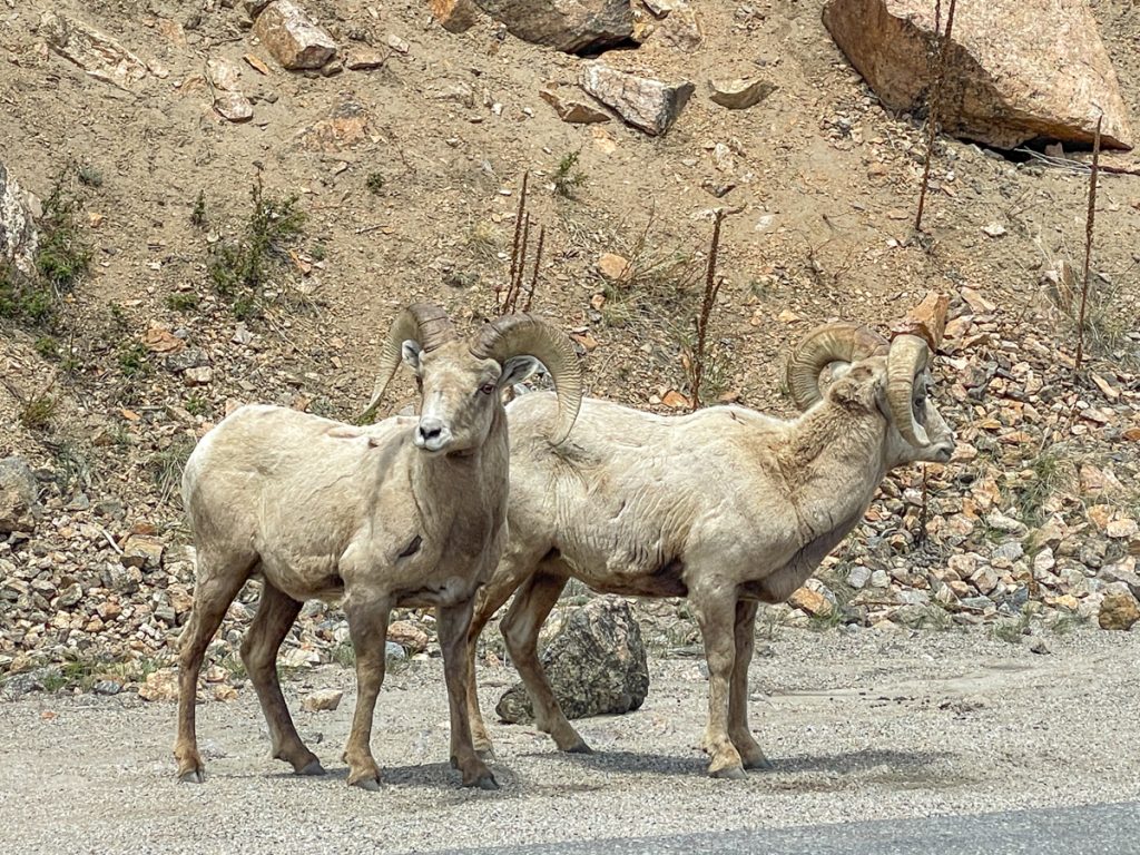 Ridgeline Tours July 2024-12