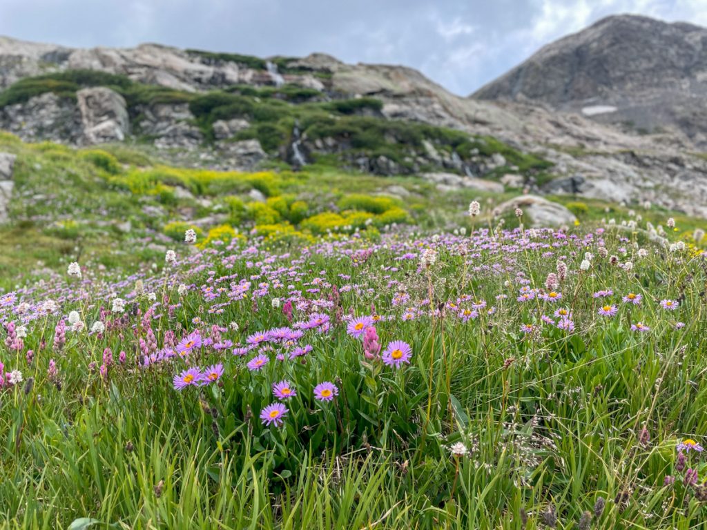 Ridgeline Tours July 2024-13