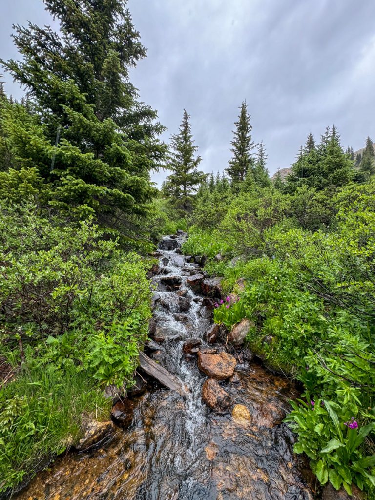 Ridgeline Tours July 2024-5